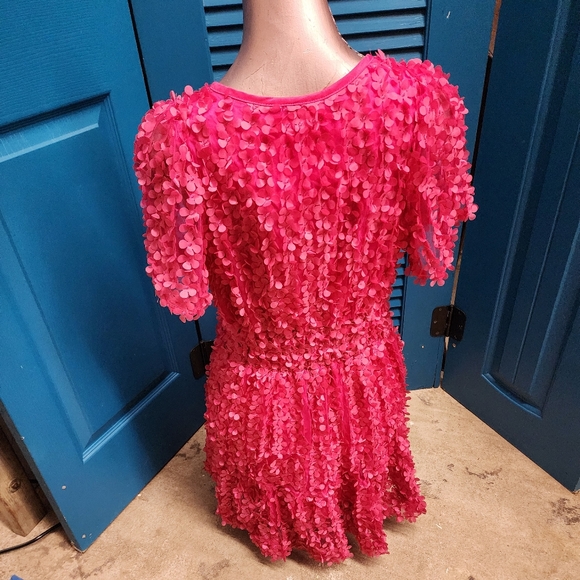 Anthropologie The Somerset Mini Dress Floral Appliqué Edition in Pink Medium - Picture 8 of 10